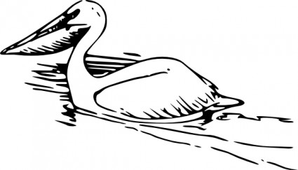 pelican clip art 6351