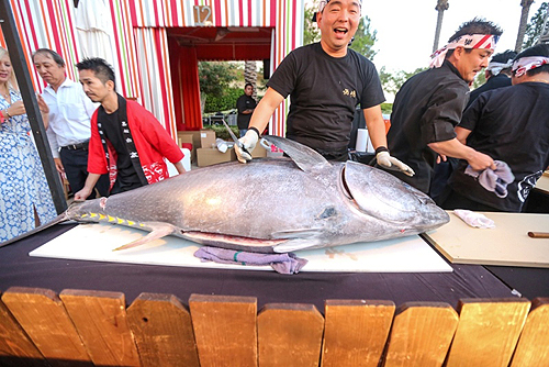 Naked Fish carves up a 240lb tuna at UNLVinos Sake Fever 4.17.15