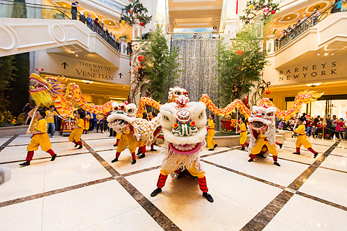 The Lion Dance Stops in the Waterfall Atrium and guests look on