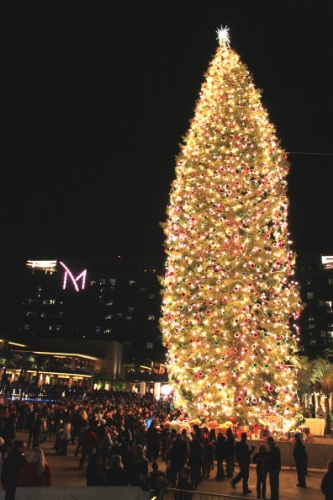M_Resort_Tallest_Christmas_Tree_after_lighting_349